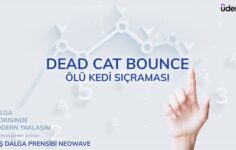 Dead Cat Bounce – Ölü Kedi Sıçraması